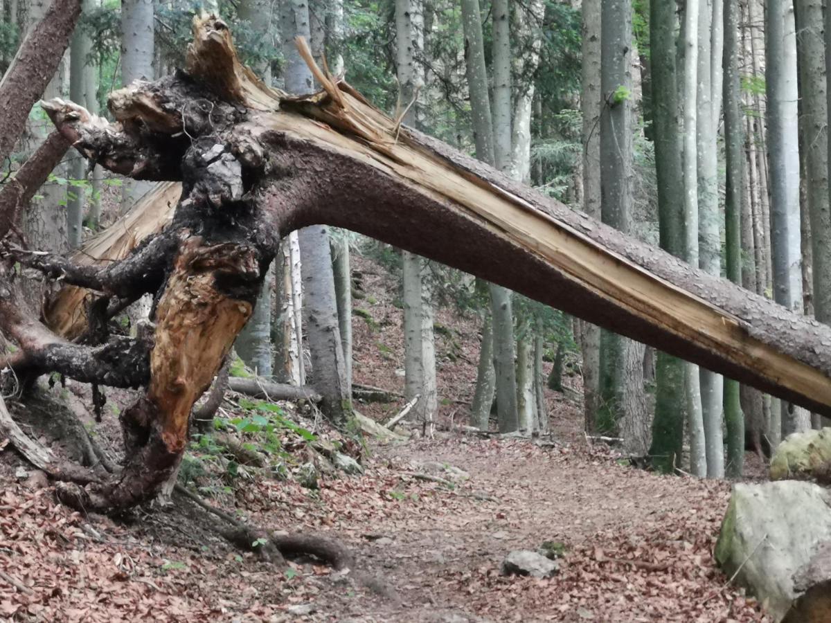 Ferienlandhaus Alpinum Lenggries Εξωτερικό φωτογραφία